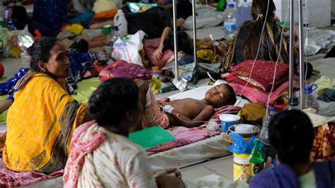 Bangladesh is struggling to cope with a record dengue outbreak in which 778 people have died